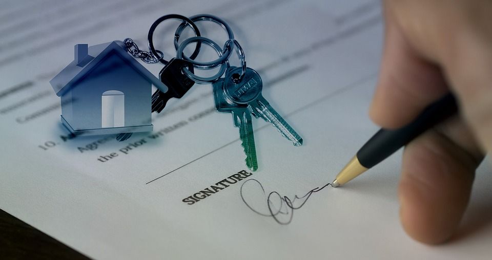 Você sabe a importância dos relatórios customizáveis para a sua imobiliária?